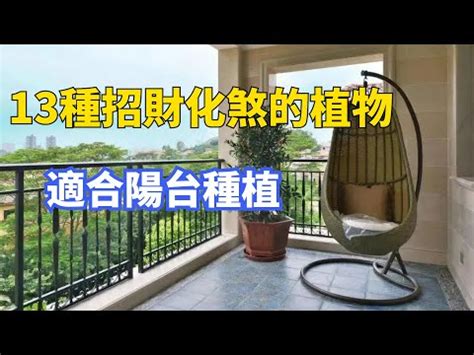 前陽台植物風水|陽台風水全攻略：避免前後陽台8大擺設禁忌，遠離這些常見錯誤